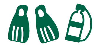 Genießen Sie erstklassiges Tauchen und Schnorcheln an Ihren Wochenenden in Dumaguete.