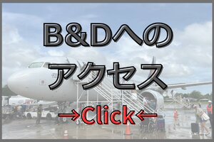 マニラやセブ経由でのドゥマゲテへの最新アクセス・フライト情報