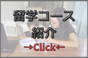B&D English Schoolの留学プラン一覧。セブ留学を検討中の方にも選ばれるドゥマゲテの高品質な学習コース