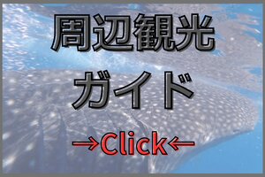 アポ島やオスロブなどドゥマゲテ周辺の人気観光スポット