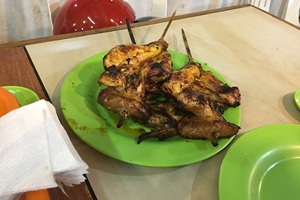 バコロド名物チキンイナサルと都市観光。フィリピン留学やドゥマゲテ留学（ドゥマゲッティ）中の連休旅行に人気で、食文化と街歩きが楽しめる観光地。