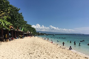 モアルボアルの白砂ビーチとイワシ群れダイブ。フィリピン留学やドゥマゲテ留学（ドゥマゲッティ）からも行ける人気観光地で、セブ留学希望者にも定番の海アクティビティ。