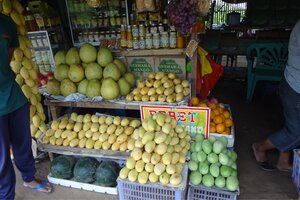 ギマラス島のマンゴー市場。格安・高品質なマンゴーを満喫する観光プラン。ドゥマゲテ（ドゥマゲッティ）留学なら治安の心配なく旅行を楽しめます。