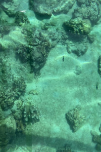 シパライの透明すぎる海とボート