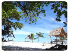 スミロン島でのKo Tanakaさんの観光写真（スミロン／セブ近郊） 