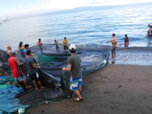 ナリさんがフィリピン留学中に浜辺で見学した地引網漁の写真。ドゥマゲテ留学ならではのローカル体験